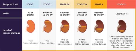 Prevalence of chronic kidney disease stages 3–5 in .